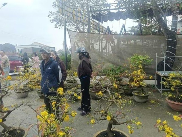 nguoi-dan-ong-gia-lai-ban-mai-4