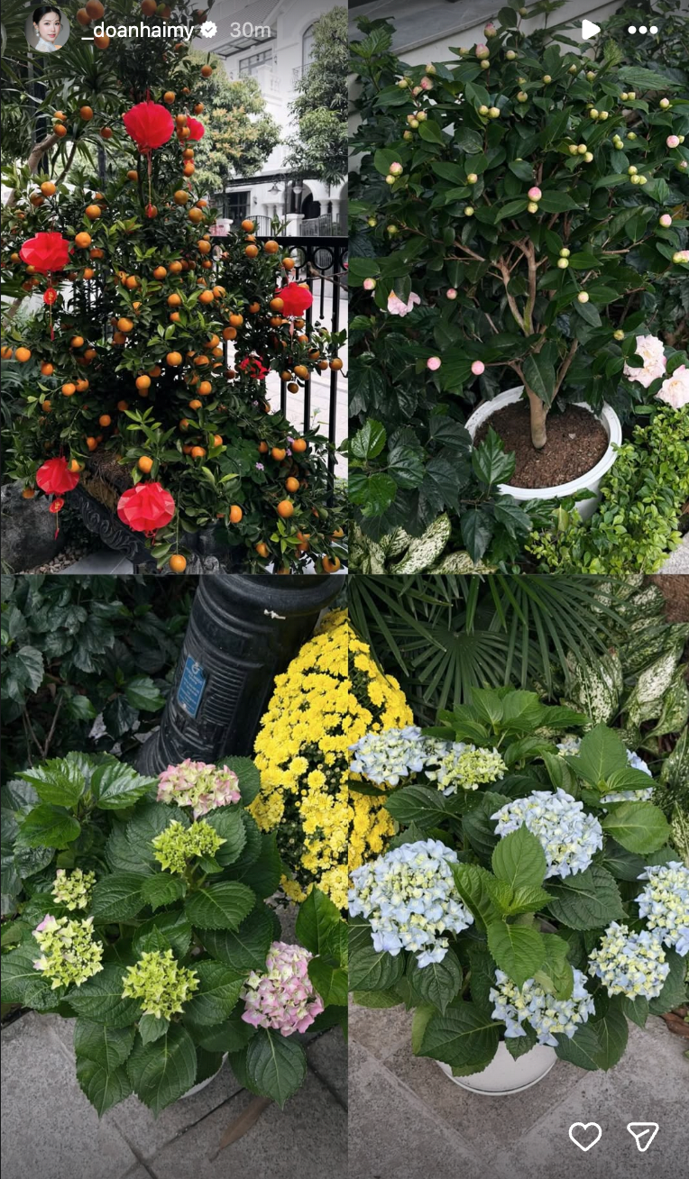 Biệt thự mấy chục tỷ của Đoàn Văn Hậu tràn ngập sắc hoa đón Tết, tiểu thư Doãn Hải My khéo chăm quá đi!- Ảnh 3.