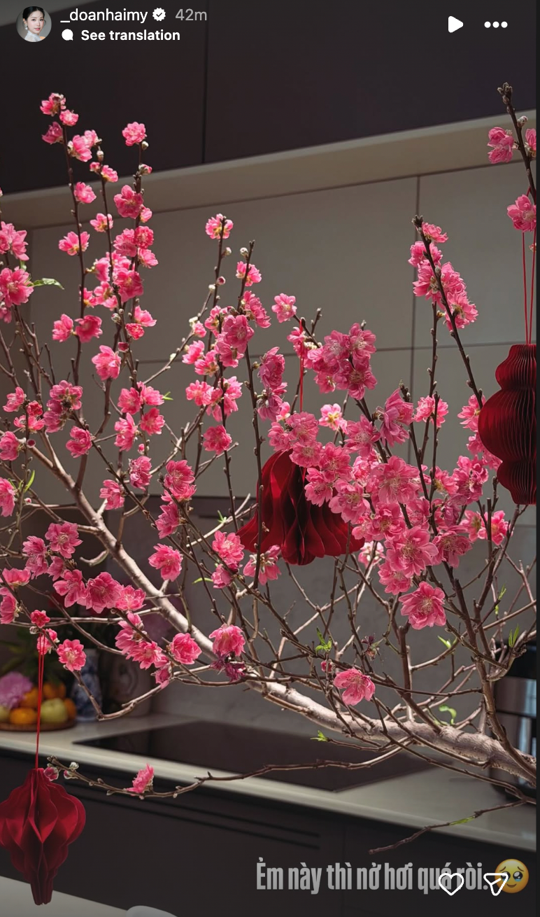 Biệt thự mấy chục tỷ của Đoàn Văn Hậu tràn ngập sắc hoa đón Tết, tiểu thư Doãn Hải My khéo chăm quá đi!- Ảnh 4.