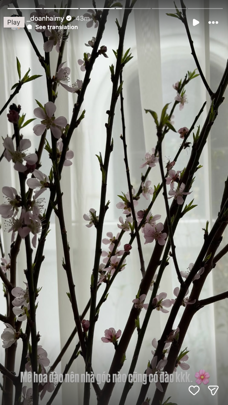 Biệt thự mấy chục tỷ của Đoàn Văn Hậu tràn ngập sắc hoa đón Tết, tiểu thư Doãn Hải My khéo chăm quá đi!- Ảnh 5.