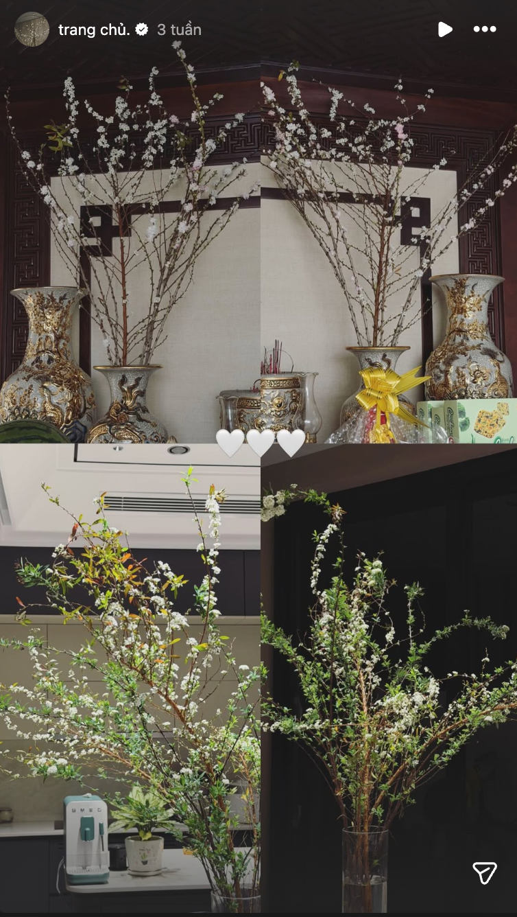 Biệt thự mấy chục tỷ của Đoàn Văn Hậu tràn ngập sắc hoa đón Tết, tiểu thư Doãn Hải My khéo chăm quá đi!- Ảnh 7.