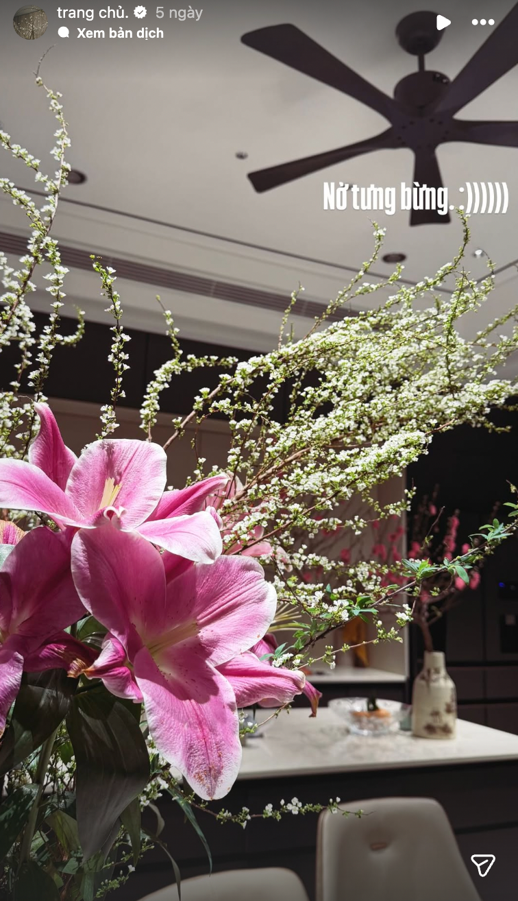 Biệt thự mấy chục tỷ của Đoàn Văn Hậu tràn ngập sắc hoa đón Tết, tiểu thư Doãn Hải My khéo chăm quá đi!- Ảnh 8.