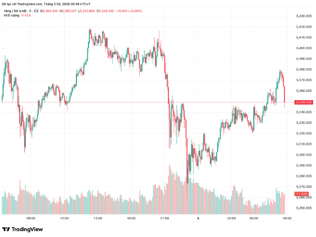 Thiết kế chưa có tên (172)