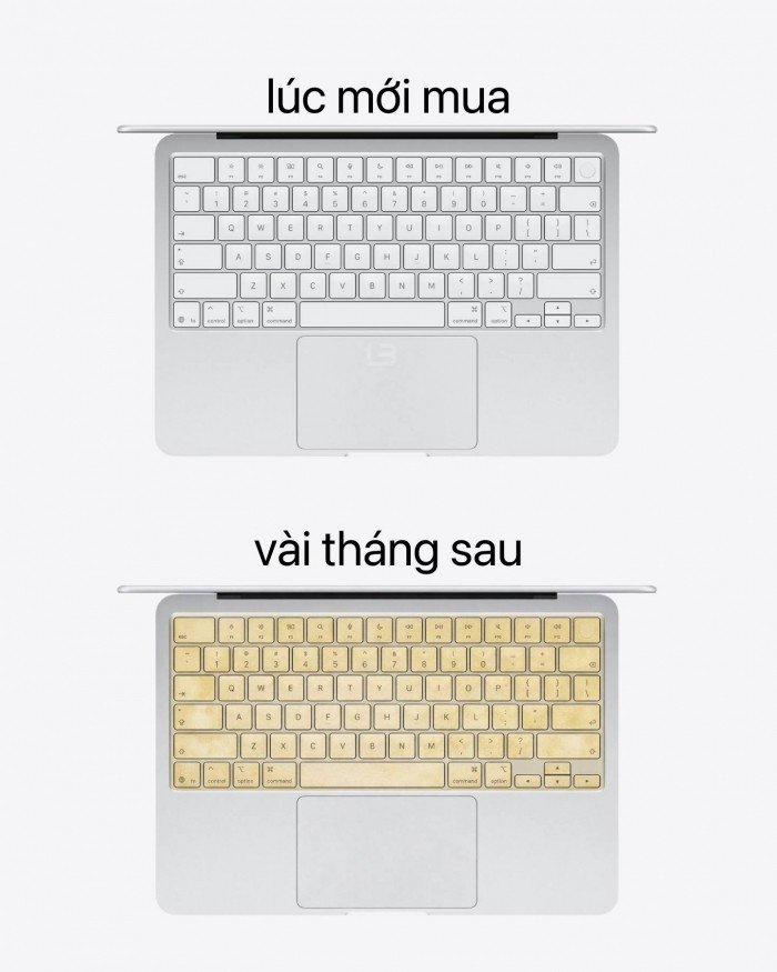 646521205_935169355559124_294546