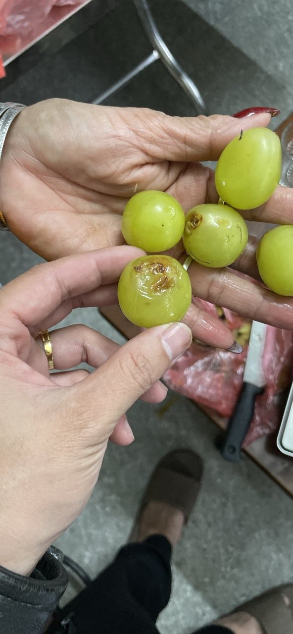 Đặt tráp cưới 11,5 triệu nhưng nhận về toàn hoả quả thối rữa, chú rể phải xin lỗi bố mẹ vợ: Phía dịch vụ nói gì?- Ảnh 6.