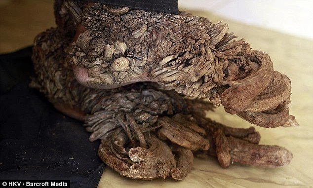 17-1773733262-vinh-biet-nguoi-cay-indonesia-42-nam-can-truong-chong-choi-dinh-menh-va-uoc-mo-tho-moc-dang-do