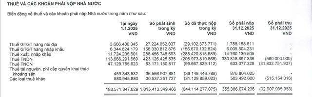 19-1773920945-chu-tich-bi-khoi-to-vi-that-thoat-ngan-sach-hoa-chat-duc-giang-da-thuc-hien-nghia-vu-thue-nam-2025-ra-sao