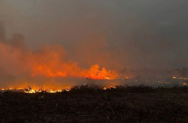 20-1774020185-hien-truong-vu-chay-tai-khu-tai-dinh-cu-7-ha-o-tphcm-khoi-den-boc-cao-nguoi-dan-gong-minh-dap-lua
