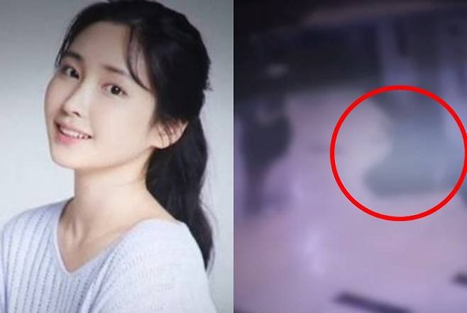 22-1774195245-cong-bo-video-thu-pham-cham-mat-nan-nhan-vu-nu-dien-vien-tre-han-quoc-bi-sat-hai-giau-xac-trong-bui-ram