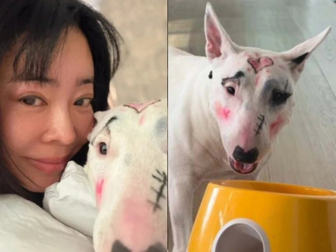 27-1774595273-nu-dien-vien-bi-chi-trich-du-doi-vi-trang-diem-cho-cho-cung