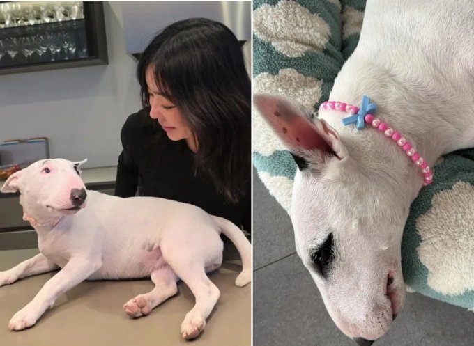 27-1774595273-nu-dien-vien-bi-chi-trich-du-doi-vi-trang-diem-cho-cho-cung