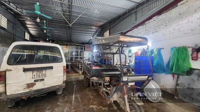 thit-lon-benh-tuon-vao-truong-hoc