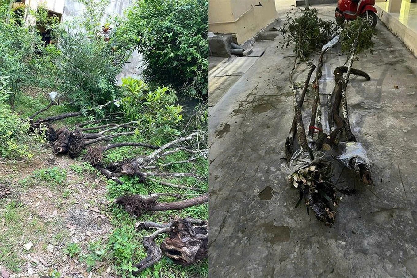 05-1775353508-canh-bao-con-sot-cay-muoi-hong-tu-thu-choi-tien-trieu-den-nguy-co-vuong-vong-lao-ly