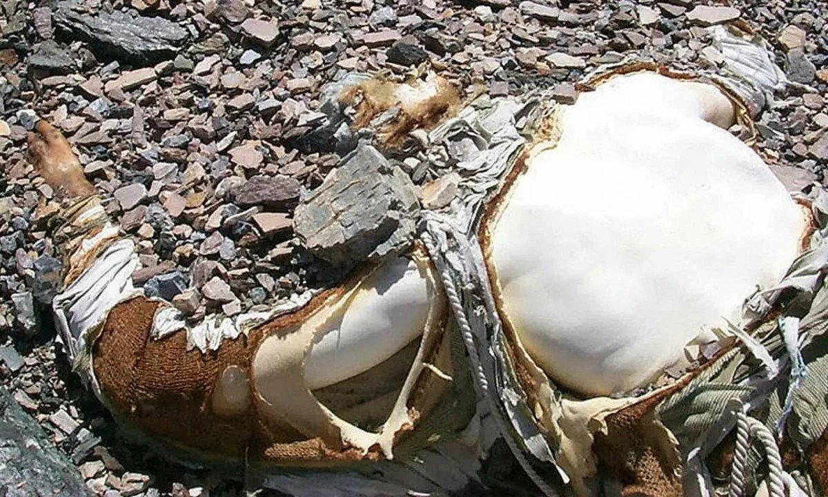 05-1775355314-everest-noi-nhung-cot-moc-tu-than-dan-loi-cho-nguoi-song-len-dinh-vinh-quang