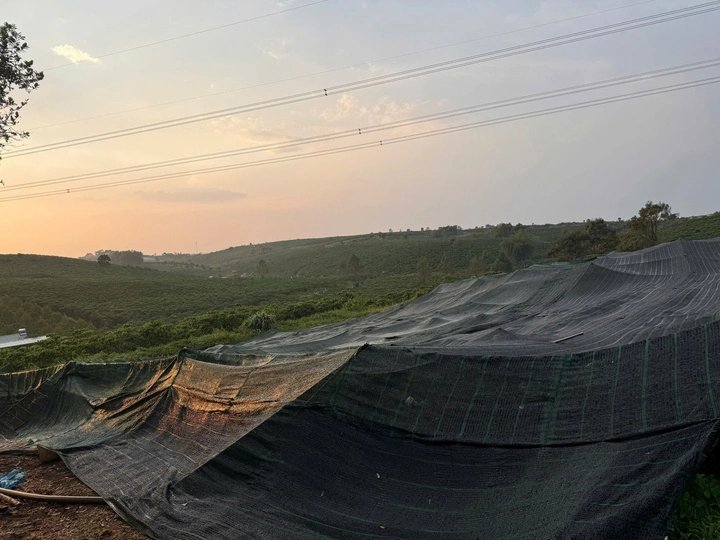 08-1775660165-lam-dong-mua-lon-va-loc-xoay-quet-qua-bao-loc-nhieu-ngoi-nha-bi-xoa-so-phan-mai