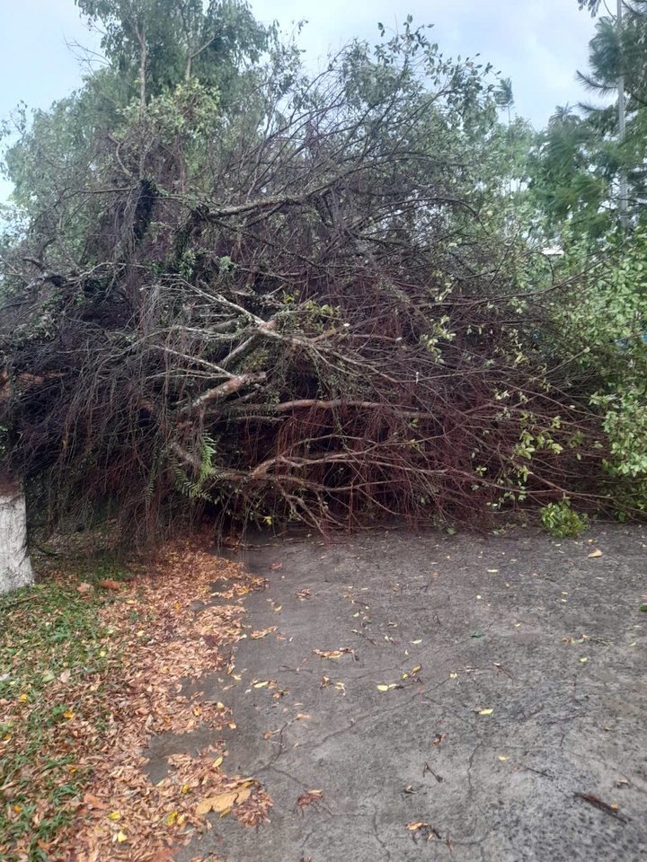 08-1775660165-lam-dong-mua-lon-va-loc-xoay-quet-qua-bao-loc-nhieu-ngoi-nha-bi-xoa-so-phan-mai