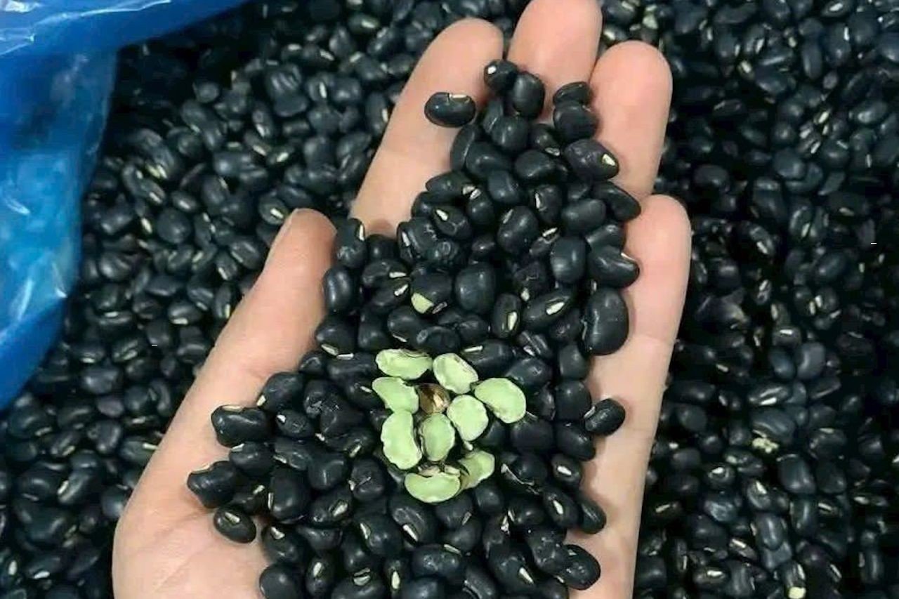 11-1775881815-do-den-than-duoc-thanh-nhiet-nhung-khong-phai-ai-cung-nen-dung