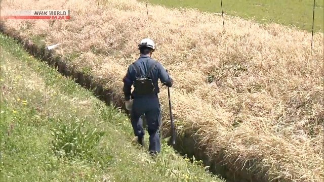 12-1775960245-nhat-ban-huy-dong-luc-luong-khong-lo-tim-kiem-be-trai-mat-tich-bi-an-cuoc-chay-dua-voi-thoi-gian-sau-14-ngay-vo-vong