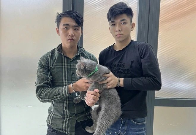 12-1775985710-cong-an-tphcm-quyet-liet-triet-pha-nan-trom-cho-meo-31-doi-tuong-sa-luoi-trong-3-thang