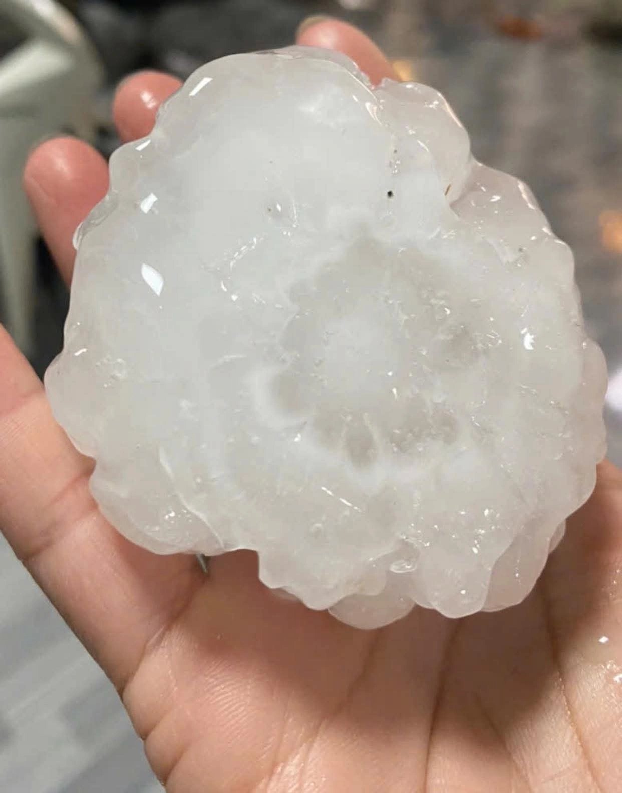 16-1776295810-bac-bo-xuat-hien-mua-da-kinh-hoang-hat-da-to-nhu-chen-xuyen-thung-mai-nha