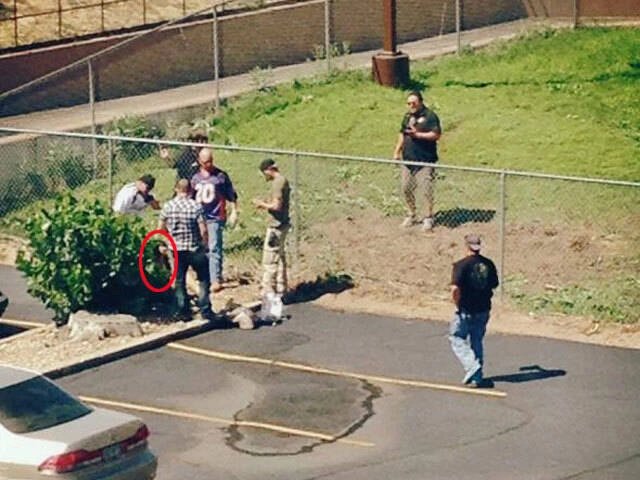 17-1776393920-bi-kich-79-nhat-dao-tu-dua-con-doat-mang-me-ruot-den-than-tuong-lech-lac-tren-nen-tang-tiktok