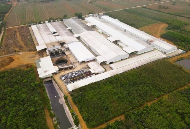 17-1776411344-vu-nuoc-gieng-khoan-doi-mau-tim-ngat-o-thanh-hoa-loi-thu-nhan-bat-ngo-tu-doanh-nghiep-giat-la