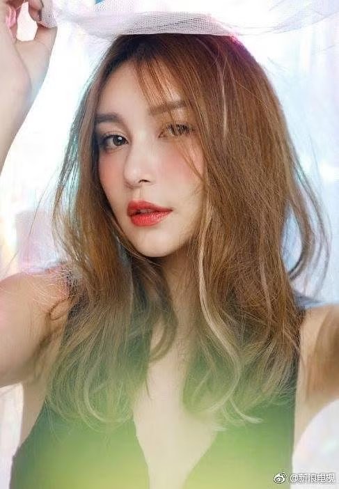 Người mẫu Lý Vũ Đồng bị bắt - áº¢nh 3.