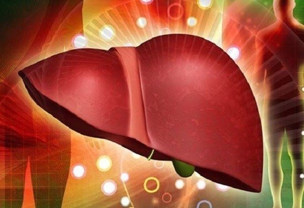 Loại quả bán rẻ quanh năm, giúp thải độc gan hiệu quả, người Việt nên ăn để phòng bệnh - Ảnh 2.