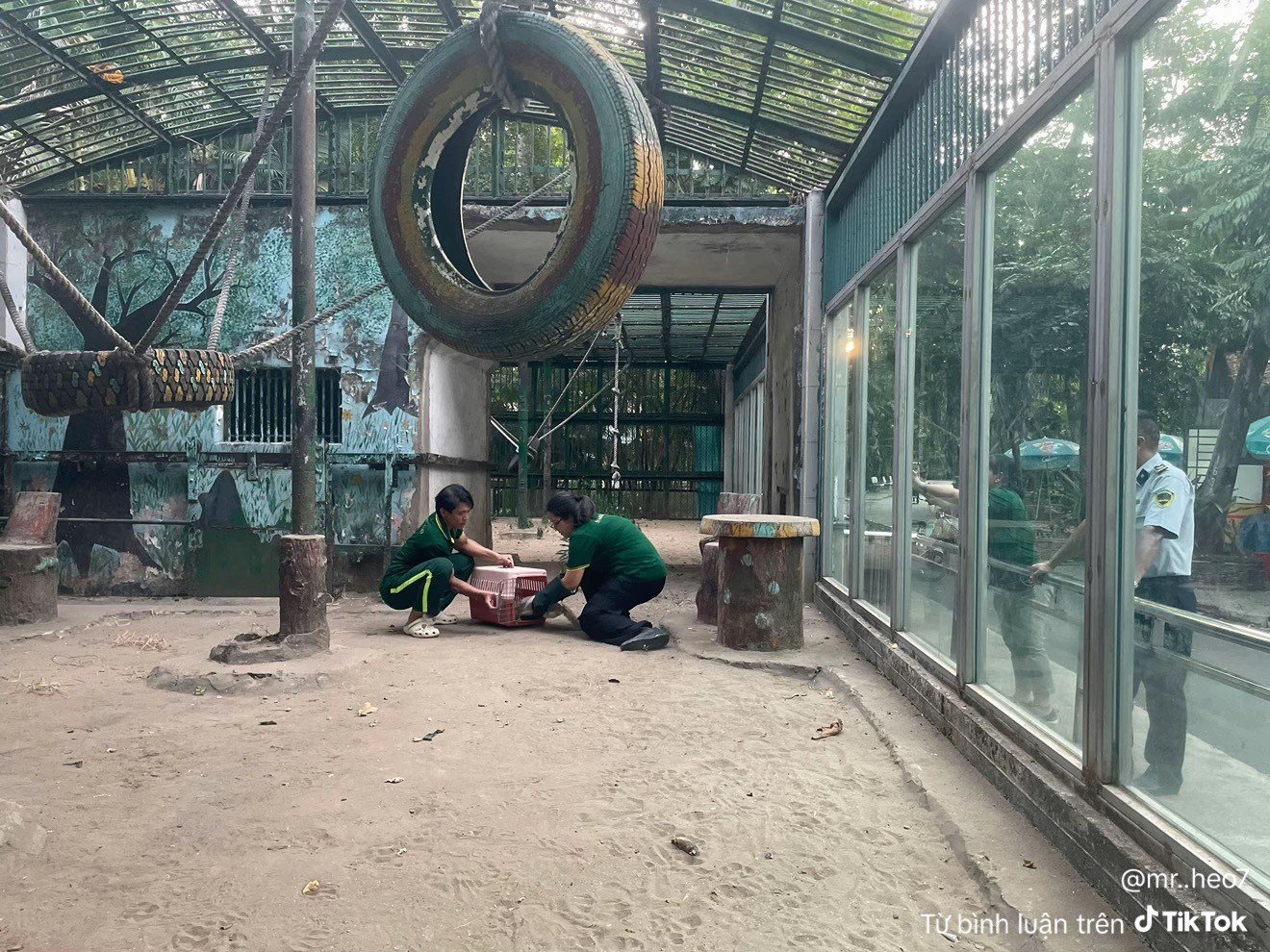 25-1777120271-meo-hoang-roi-vao-chuong-da-nhan-tai-thao-cam-vien-nhan-vien-tuc-toc-giai-cuu-khan-cap