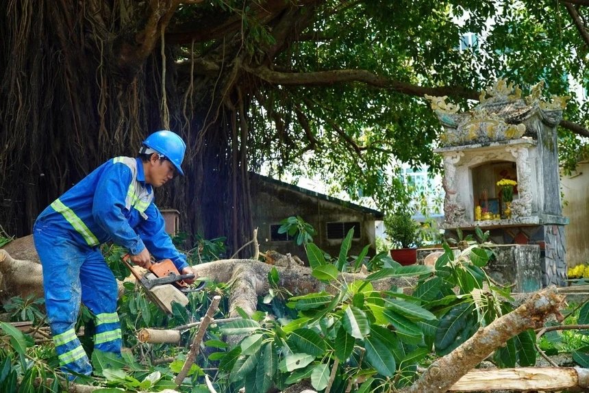 26-1777206079-quang-ngai-cay-da-di-san-bat-ngo-gay-nhanh-hang-chuc-nguoi-di-le-gio-to-thoat-nan-hy-huu