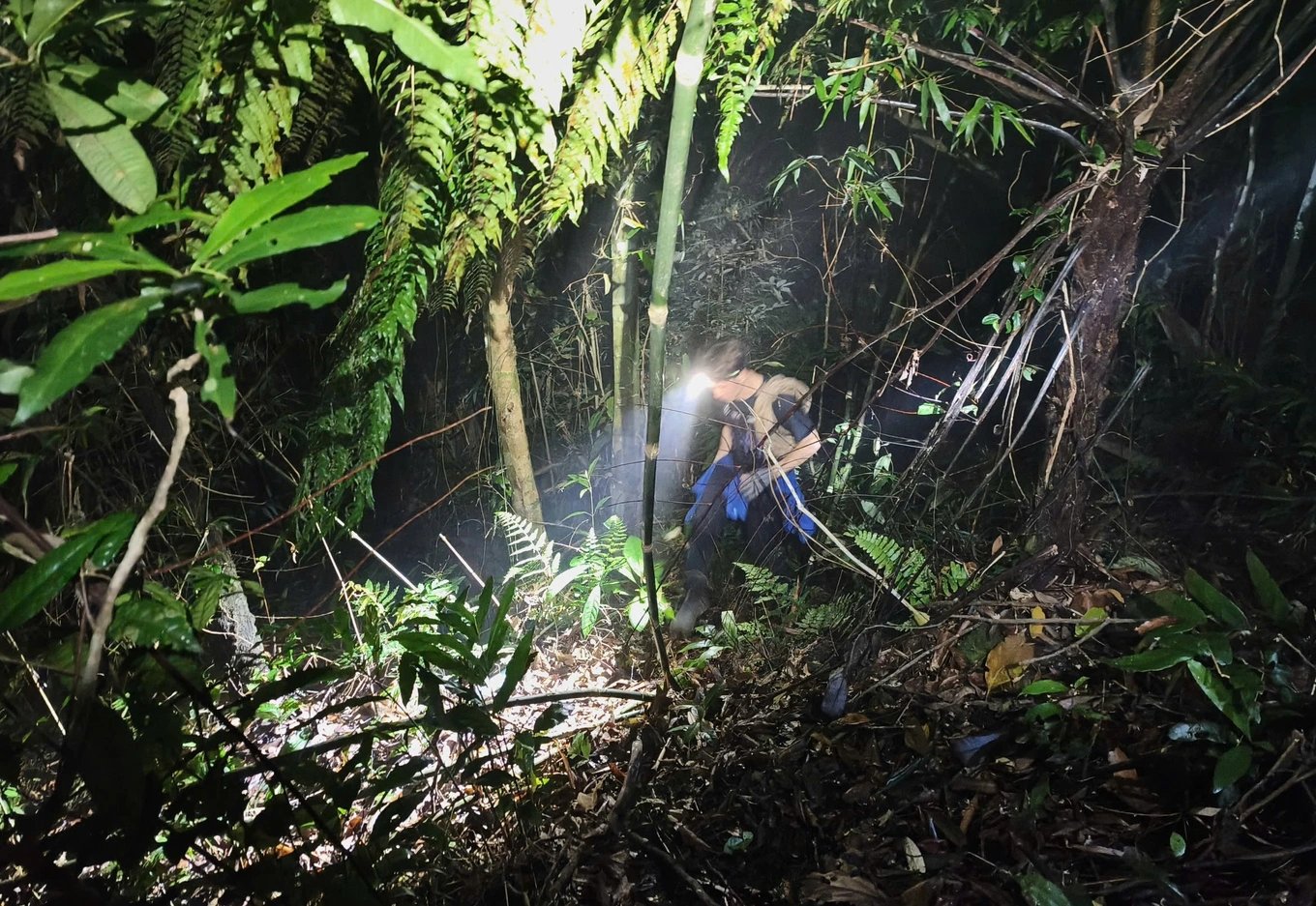 28-1777347133-bac-bo-tin-don-gia-dinh-nguoi-mat-tich-phai-tra-phi-tim-kiem-tai-tam-dao