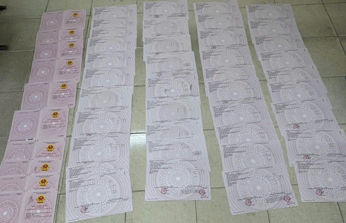 01-1777599799-lam-gia-49-so-do-nguoi-phu-nu-o-hai-phong-chiem-doat-gan-180-ti-dong
