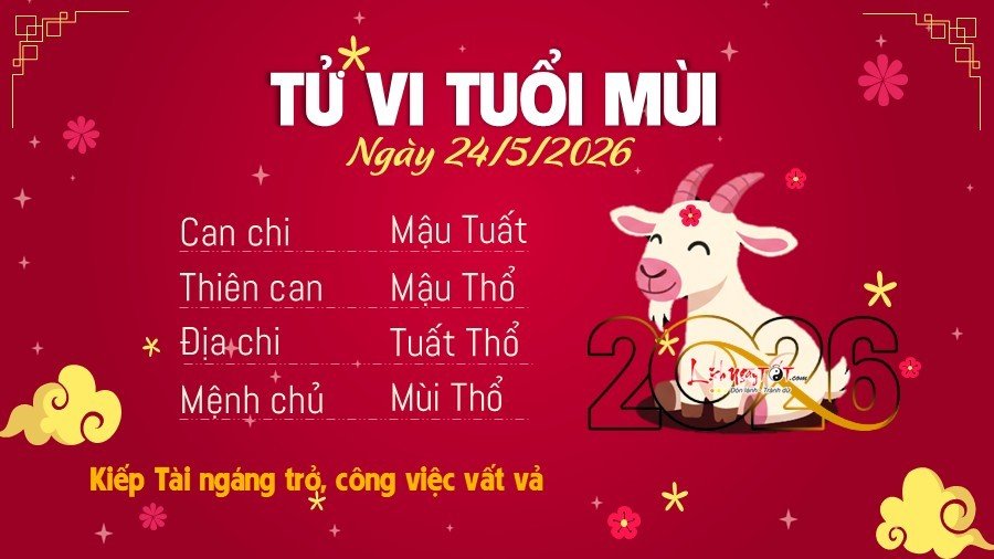 Tu vi hang ngay 24/5/2026 cua Mui