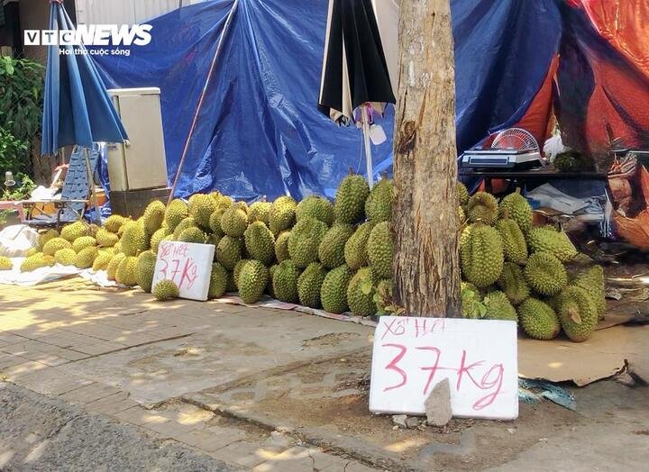 27-1779850704-sau-rieng-gia-re-tran-pho-tphcm-hang-ngon-co-that-su-sieu-re