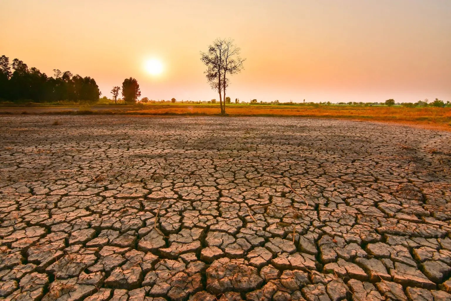 27-1779871535-sieu-el-nino-xuat-hien-chuyen-gia-canh-bao-nang-nong-mua-lu-cuc-doan-o-nhieu-khu-vuc