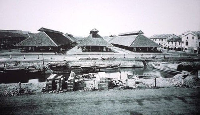cbt1-1559
