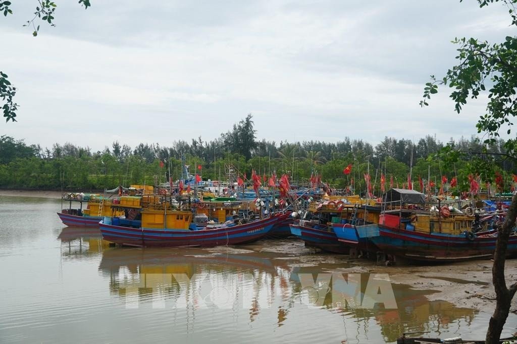 04-1783147484-thanh-hoa-khan-truong-dua-hon-6200-tau-thuyen-vao-noi-tranh-tru-san-sang-ung-pho-bao-so-1