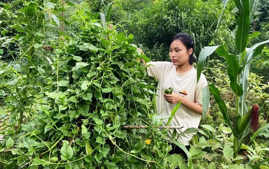 04-1783148088-hanh-trinh-vuot-kho-cua-nua-sinh-nguoi-thai-xu-thanh-tu-bua-com-dau-phu-den-canh-cua-dai-hoc-su-pham