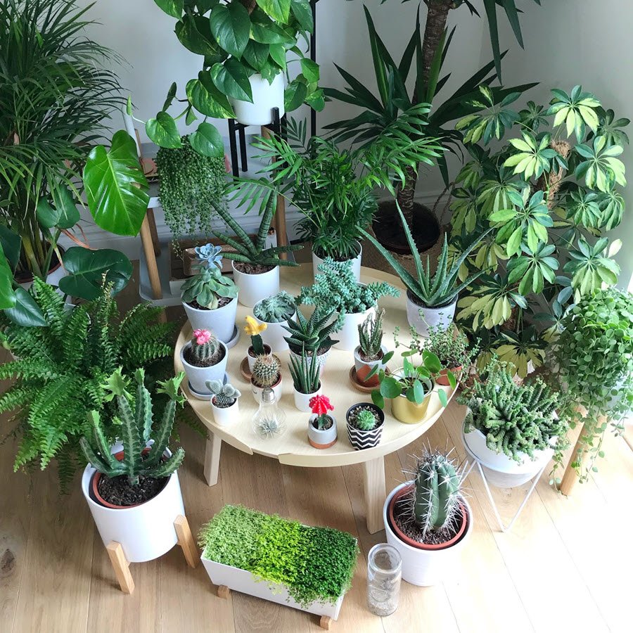 Người sống ngăn nắp có 3 thứ trước cửa nhà giúp cuộc sống dễ chịu hơn - Ảnh 4.