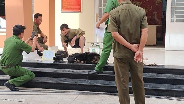 trom-cho-vinh-cong-4-1122