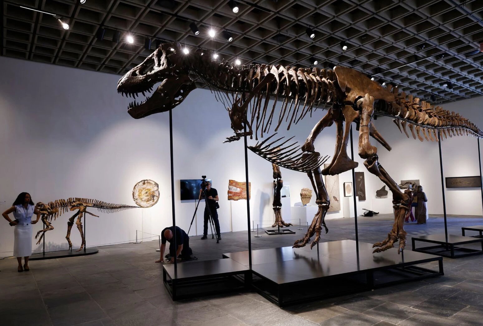 16-1784186597-bo-xuong-khung-long-t-rex-lap-ky-luc-dau-gia-voi-muc-hon-50-trieu-usd