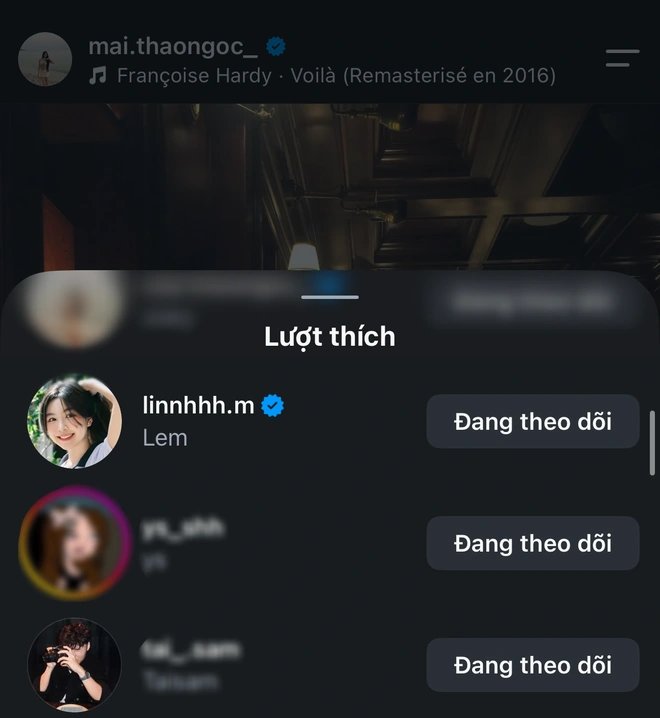 01-1785568098-nghi-van-thieu-gia-tai-sam-gop-mat-trong-sinh-nhat-em-gai-lo-lem-thu-hut-su-chu-y-cua-cu-dan-mang