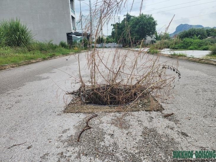 03-1785741557-bay-ho-ga-sau-2m-giua-long-do-thi-thanh-hoa-khien-nguoi-dan-bat-an