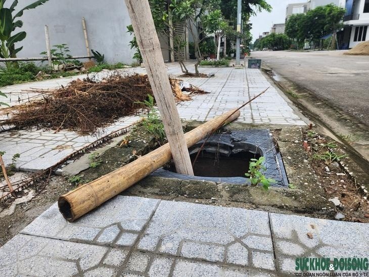 03-1785741557-bay-ho-ga-sau-2m-giua-long-do-thi-thanh-hoa-khien-nguoi-dan-bat-an