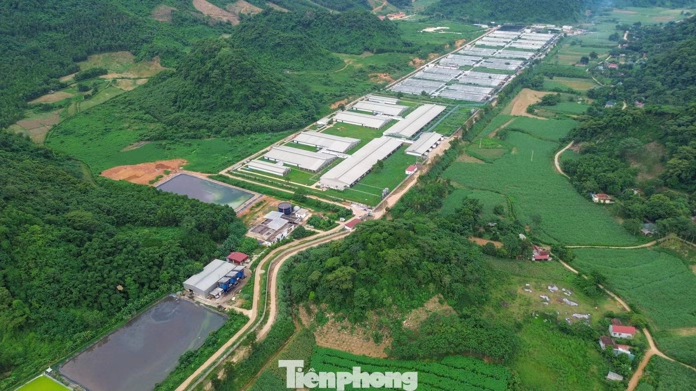 04-1785807329-thanh-hoa-suoi-doi-mau-boc-mui-hoi-keo-dai-nhieu-km-dia-phuong-de-nghi-cong-an-vao-cuoc-xac-minh