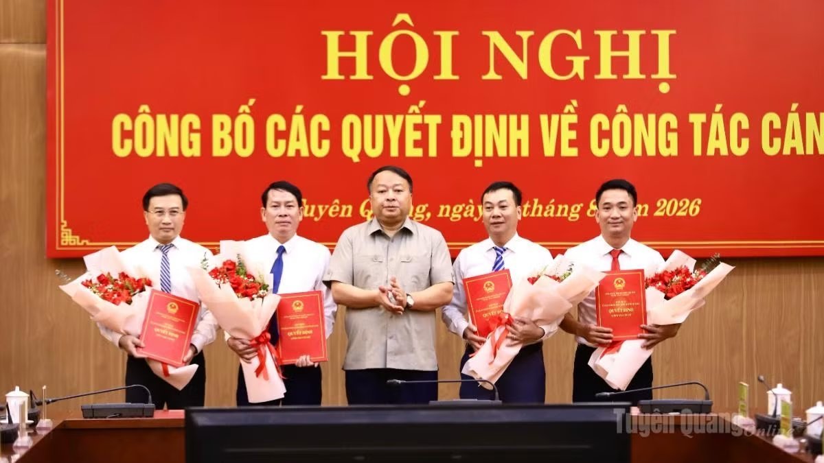 23-1787452371-dieu-dong-bo-nhiem-nhieu-can-bo-tai-ha-noi-hue-quang-ninh-va-tuyen-quang