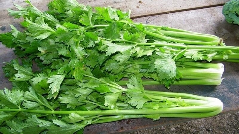 24-1787575749-ngay-cang-nhieu-benh-nhan-suy-than-bac-si-canh-bao-nen-can-nhac-khi-an-5-loai-rau