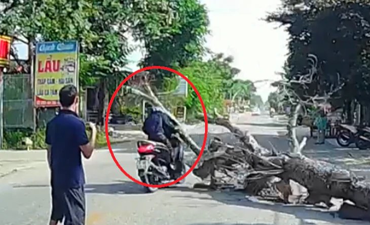 10-1789004576-vu-chat-ha-cay-do-gay-chet-nguoi-o-thanh-hoa-gia-dinh-tu-thue-nguoi-chat-cay-truoc-nha