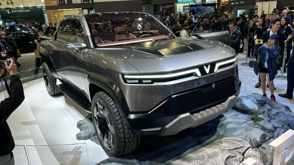 VF Wild ảnh 2