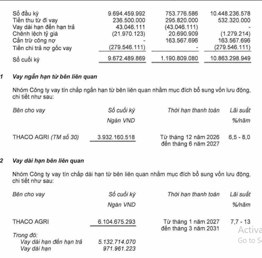 15-1789442300-hagl-agrico-cua-ong-tran-ba-duong-van-chim-trong-thua-lo-no-ngan-han-gap-gan-5-lan-tai-san